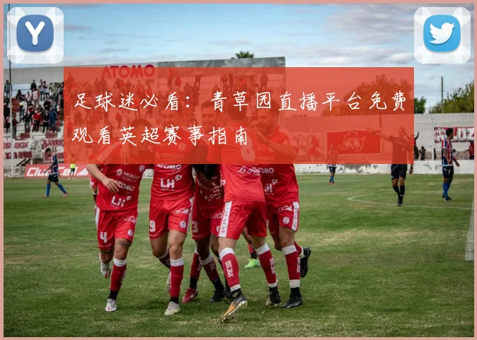 足球迷必看：青草园直播平台免费观看英超赛事指南