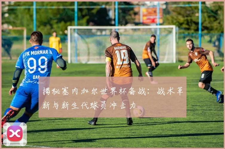 揭秘塞内加尔世界杯备战：战术革新与新生代球员冲击力