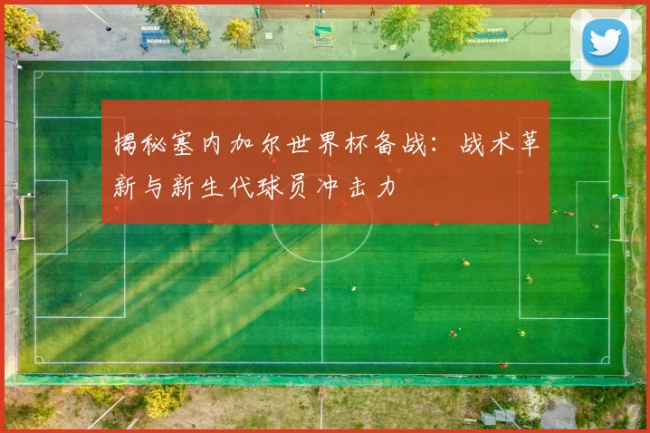 揭秘塞内加尔世界杯备战：战术革新与新生代球员冲击力