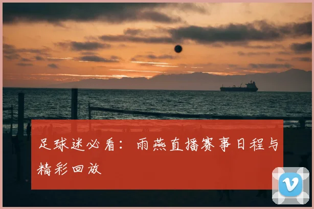 足球迷必看：雨燕直播赛事日程与精彩回放